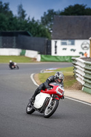 Vintage-motorcycle-club;eventdigitalimages;mallory-park;mallory-park-trackday-photographs;no-limits-trackdays;peter-wileman-photography;trackday-digital-images;trackday-photos;vmcc-festival-1000-bikes-photographs